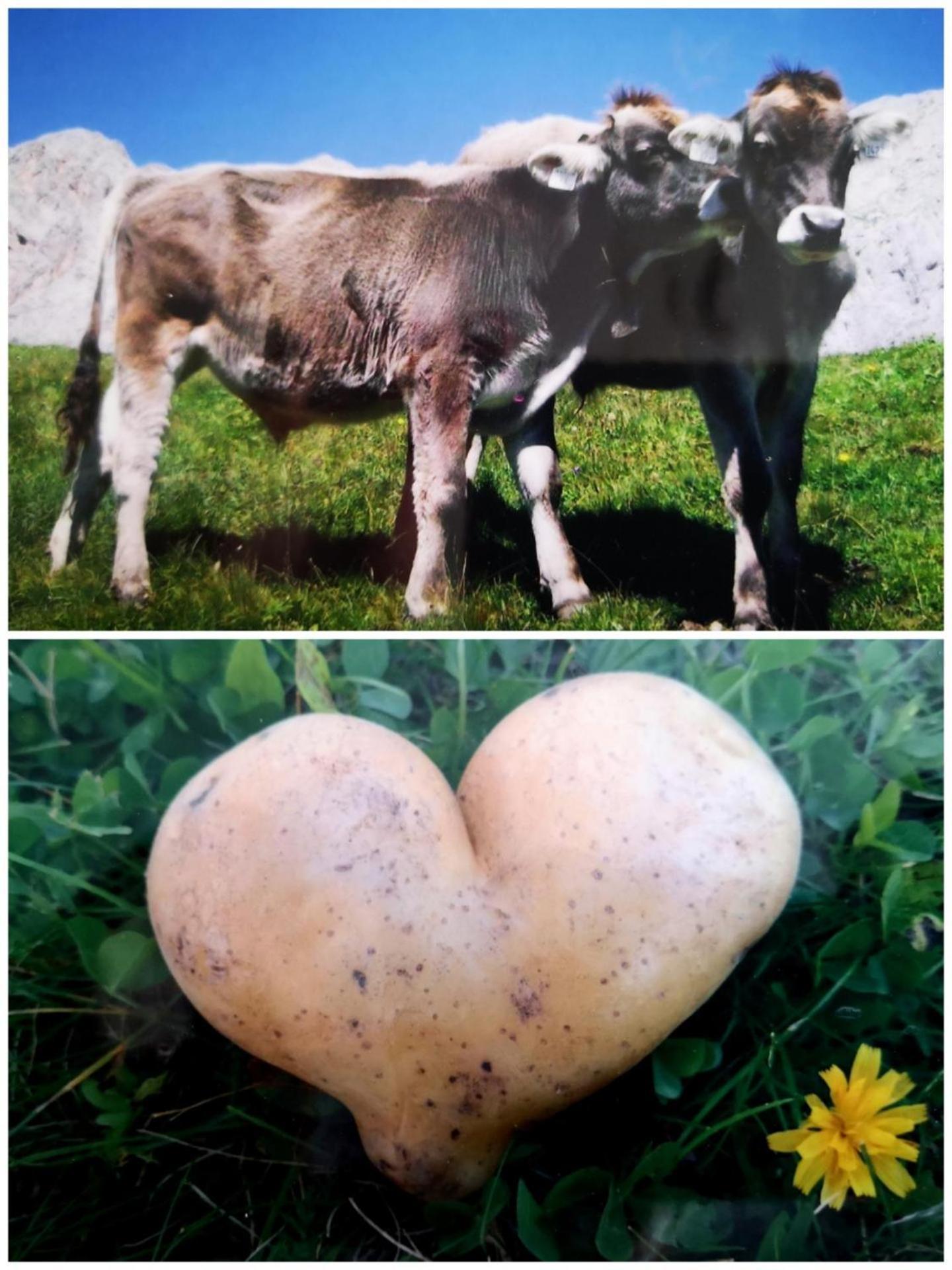 로이타쉬 Ruadlhof 빌라 외부 사진